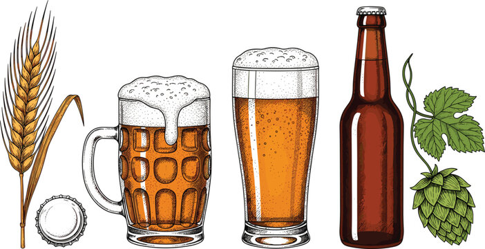 Beer brewing ingredients and drinks set with barley hops bottle and glasses, hand drawn vector illustration featuring lager mug pint and brewery elements