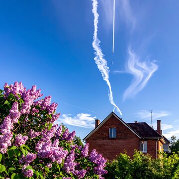 A house with lilac bushes and contrails in the sky