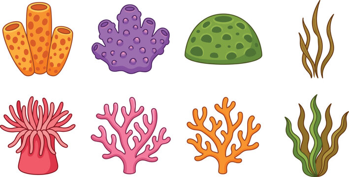 Cartoon sea coral reef elements set with sponge algae anemone underwater marine vector illustration collection tropical