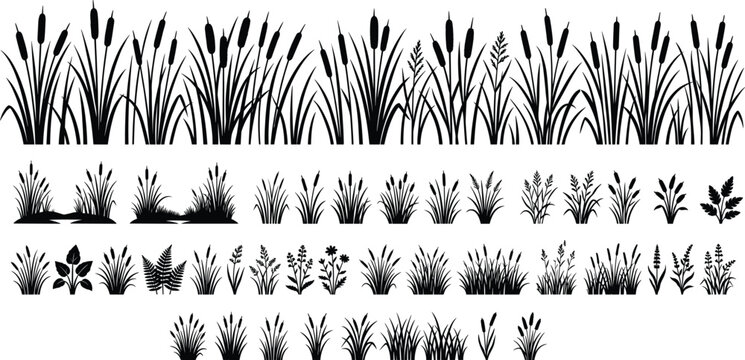Grass reed silhouette set, cattail meadow plant collection, nature border vector design pack illustration elements