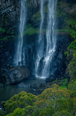 Fototapeta premium Waterfall, Ebor Falls, New England High Country, New South Wales, Australia