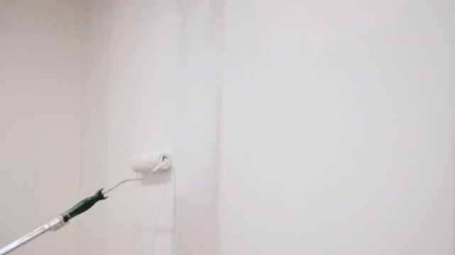 Person painting wall with brush roller from the floor to the ceiling. Interior renovation and home improvement process