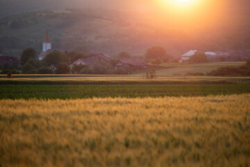 Naklejka premium Village with a church steeple nestled in a valley, framed by rolling hills.