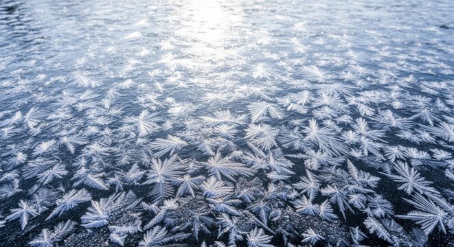 Intricate Frost Patterns Adorning a Frozen Surface