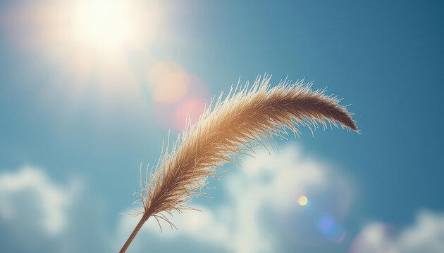 Golden grass plume backlit by sun with soft blue sky and lens flare