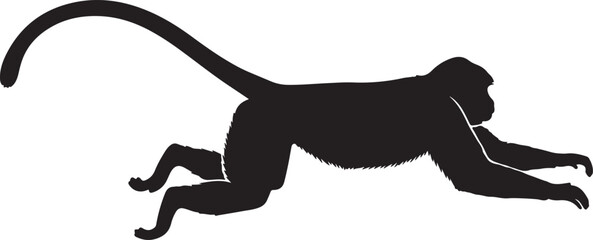 A set of monkey silhouettes on a white background. Perfect for designs about animals, nature, wildlife, primates, monkeys, apes, jungle, rainforest, conservation, and education © Israt