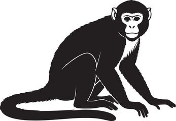 Linear monkey outline set: different poses of monkeys © Israt