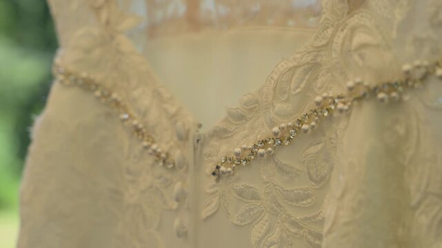 An extreme close-up showcasing the shimmering rhinestone and pearl belt, delicate floral lace, and elegant buttons along the back of a white bridal dress, set against a soft green natural backdrop.