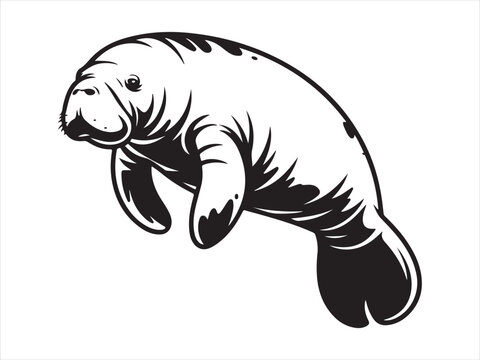 Manatee Silhouette Vector art Graphics, Manatee sketch flat vector illustration isolated clipart design
