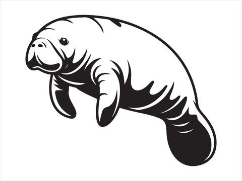 Manatee Silhouette Vector art Graphics, Manatee sketch flat vector illustration isolated clipart design
