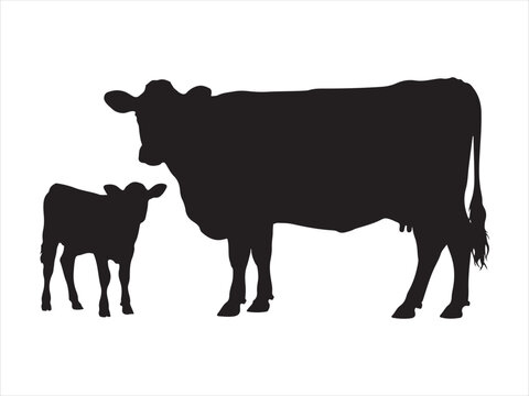 Flat vector illustration of cow and calf silhouette isolated clipart design