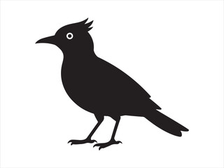Fototapeta premium Black Bird Silhouette Icon Isolated on White Background