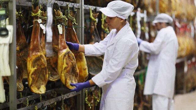 Factory worker checks the hanging ham. Technologist controls the quality of the ripening of the jamon. High quality 4k footage