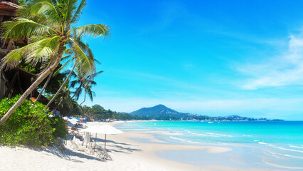 Sea beach landscape, paradise tropical island, beautiful exotic nature, turquoise ocean water, palm tree, white sand, summer holiday vacation travel, Chaweng beach, Koh Samui, Thailand, Southeast Asia © Vera Shestak