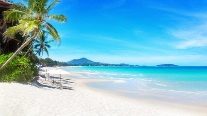 Sea beach landscape, paradise tropical island, beautiful exotic nature, turquoise ocean water, palm tree, white sand, summer holiday vacation travel, Chaweng beach, Koh Samui, Thailand, Southeast Asia © Vera Shestak
