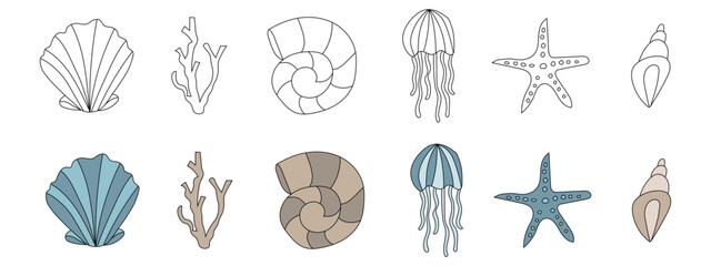 Sea shells and marine life icon set with jellyfish and starfish. Vector illustration of underwater creatures, nautical elements, and ocean wildlife in line and colored styles. © MdNurul