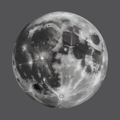 Detailed lunar surface illustration showing moon craters and shadows in monochrome vector graphics. © Mohammad