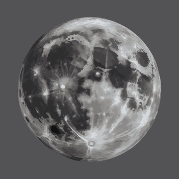 Detailed lunar surface illustration showing moon craters and shadows in monochrome vector graphics.