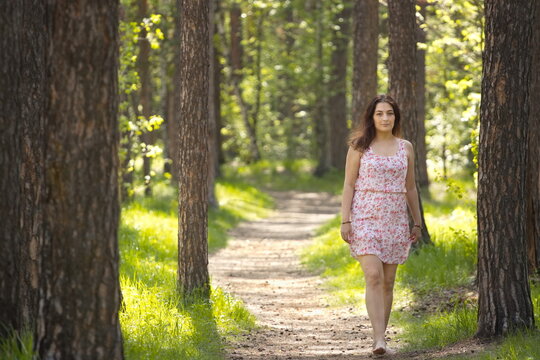 A young woman walking in the forest. A pretty woman walks barefoot along a path between pine trees.