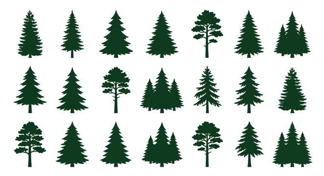 Collection of green pine tree silhouettes on a white background