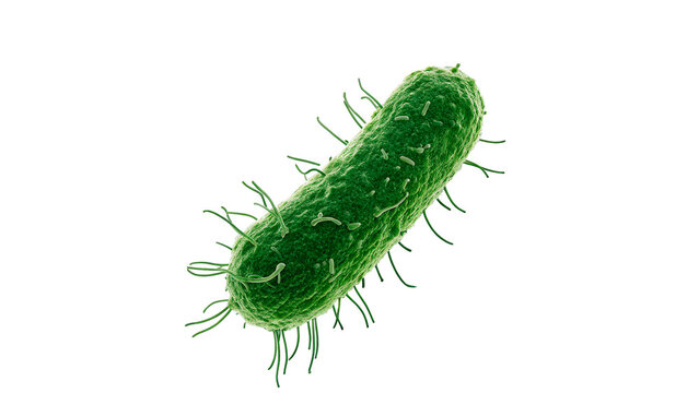 Bacteria with long hair-like structures going through a 3D rendering in a lab setting with a white background on a transparent background