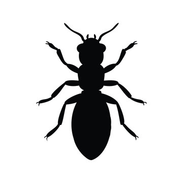 Silhouette of termite insect isolated on white background vector illustration design, termite silhouette vector illustration