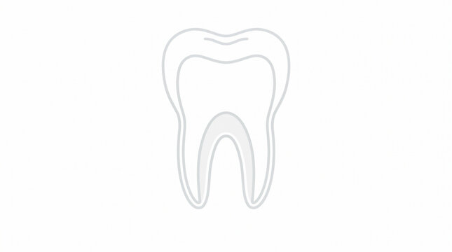 Human tooth anatomy cross section with enamel dentin and pulp layers
