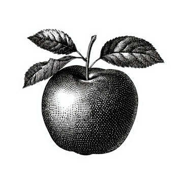 Black and White Apple Sticker Isolated on Transparent Background (PNG)