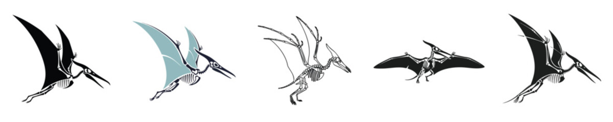 Pterodactyl Skeleton Set Flying Reptile Fossil Wings Collection Flat Vector Illustration © NineteenVisualStudio