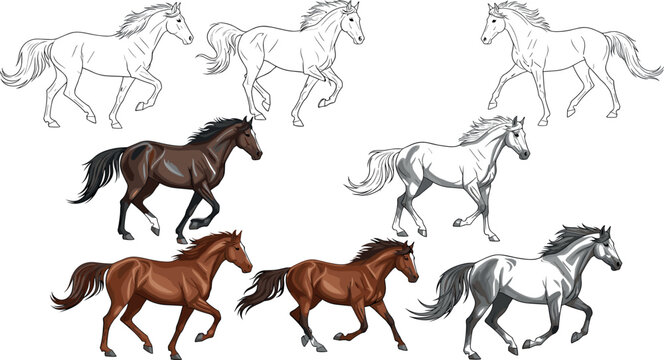Horse Illustration Set with Different Poses, Breeds, and Colors &ndash; Running, Galloping, and Trotting Horse Designs