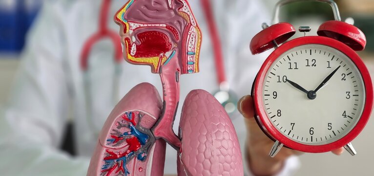Prevention of pulmonary diseases anatomy of the lungs and an alarm clock in the hands of a doctor