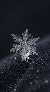 Intricate Snowflake Macro Photography