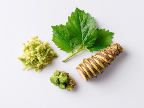 Fresh wasabi root and leaves on white