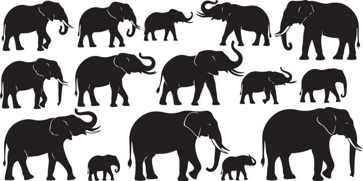 Black silhouettes of elephants in various poses animals
