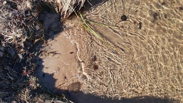 shallow waters along the lake shore, ripples with sunlight patterns