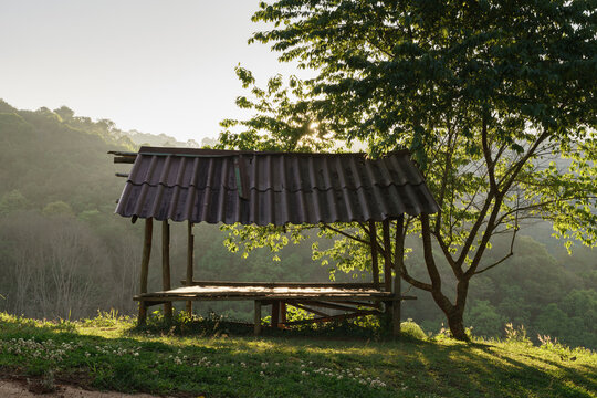 wooden bench in the forest