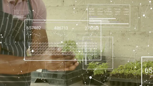 Nursery man reaching seed trays sliding removing plant holding roots inspecting with HUD over hands