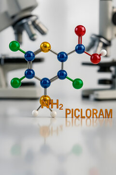 Picloram 3D Molecular Structure in Scientific Lab Setting