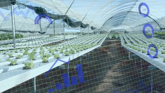 Grid overlay appearing, starting hydroponic tunnel showing charts, gauges updating for crop growth
