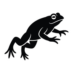 Fototapeta premium Toad Leaping Forward in Dynamic Motion Vector, Silhouette, Illustration