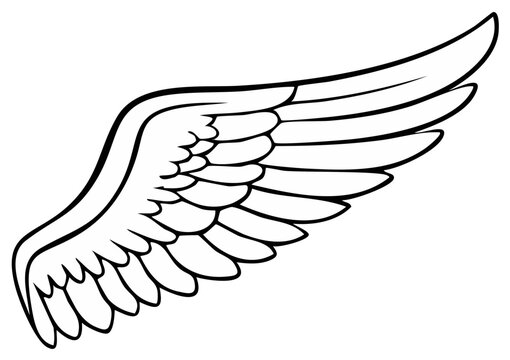 Detailed Line Art Illustration of Single Wing Symbol for Graphic Design Projects