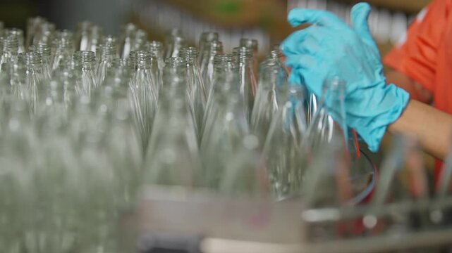 Bottling Process in Industrial: A close-up view of an industrial facility shows a worker with blue gloves handles rows of glass bottles during the packaging process.