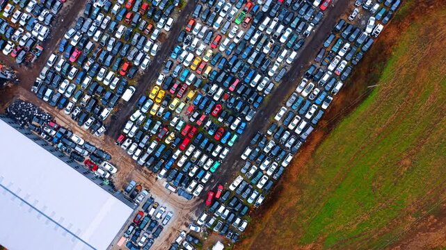 High angle view of extensive car junkyard near field. Wide aerial perspective of hundreds of scrapped vehicles arranged in rows next to a grassy area.