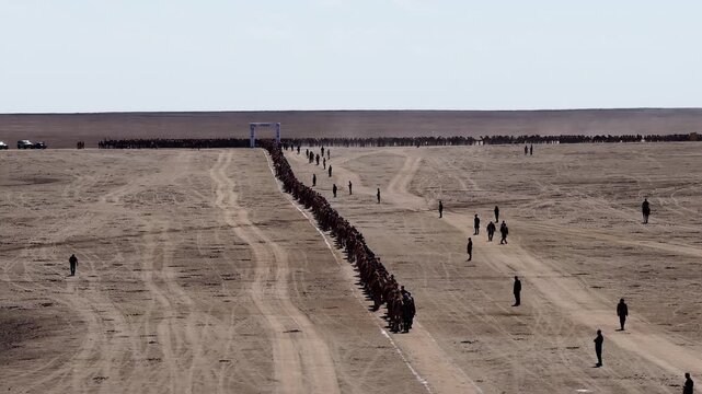 Aerial view of camel caravan lining up in formation in the desert