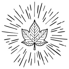 Obraz premium Outline of a maple leaf with radiating lines, nature-themed illustration