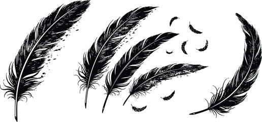 Black feather icons, feather illustration set, quill graphics, vector feathers © Vector Art Studio
