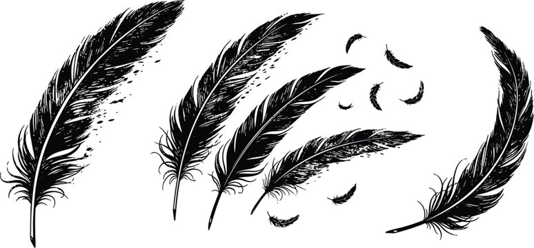 Black feather icons, feather illustration set, quill graphics, vector feathers