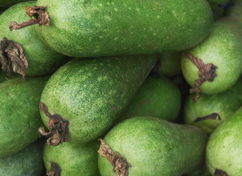 Many fresh winter melons close up	
