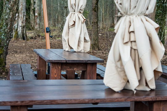  Wooden picnic benches sit quietly under an umbrella in a forested area. The scene suggests tranquility and invites outdoor relaxation amidst towering trees and earthy surroundings.
