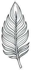 Obraz premium Detailed Black and White Line Art Feather Illustration